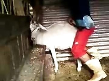 Greek zoo