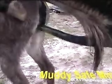 Lesbian Feet Sex zoo