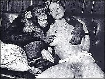 Golden shower zoo