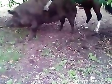Juggs zoo